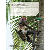 V2HE616E1B663CA9950BB43C7A8026ECE37R6713932P5