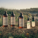 V3H27D3C7BE98441E614A2766BC0D6FEF44R6240845P7