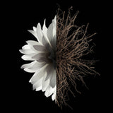 V3H4F6C68948B6ADA165E7B530CCE988CC6R6239565P3