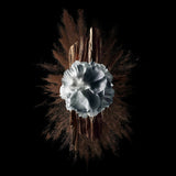 V4HD57BFFBA2AA917DD3D6BAA465CAA4794R5397790P5