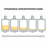 V3HFF0762E271217B9752B45254B2418672R5672840P2