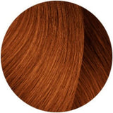 V11HA774148C6EF401C69573DC7596221863R3336064P5