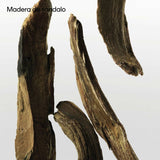 V3HA451631FE9227BB0A437E6188A776E68R5672457P9