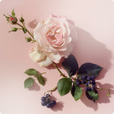 V2HB355700360CC11AA4C8BD788E36A960FR6970217P6