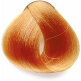 V5HAA8FB1BFA70A16A6C7B06C9FD2FDC1ADR3908340P3