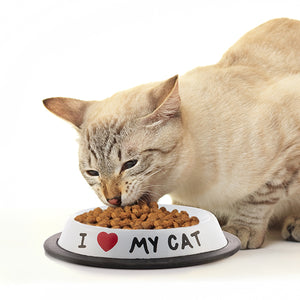 Comedero para Mascotas I Love My Cat