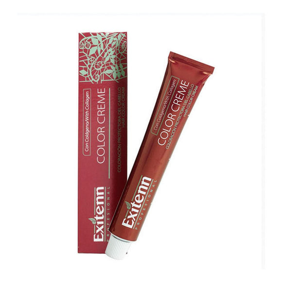Tinte Permanente Color Creme Exitenn Nº 1222 Bright Wheat (60 ml)