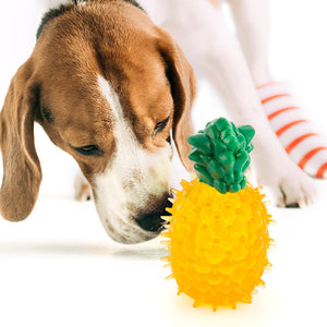 Juguete para Perros Fruits