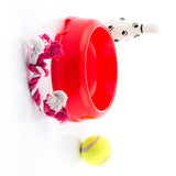 Set de Juguetes para Perros 4 Piezas