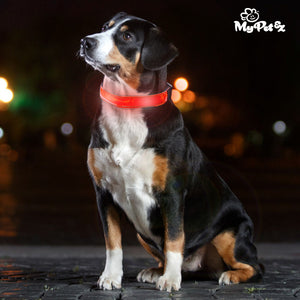 Collar LED para Perros My Pet EZ