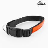 Collar LED para Perros My Pet EZ
