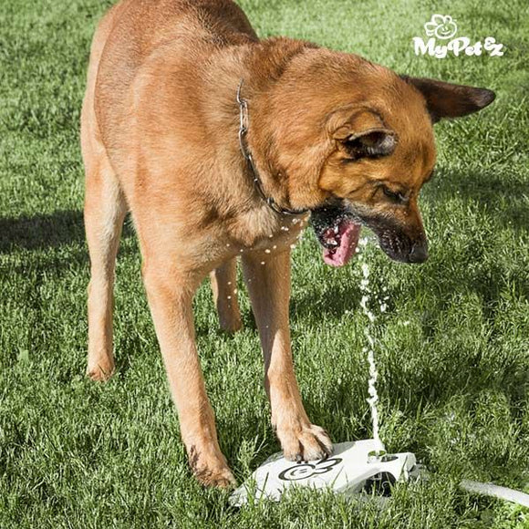 Fuente de Pedal para Mascotas My Pet Ez