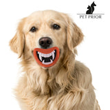 Juguete de Goma con Sonido para Perros Funny Pet Prior