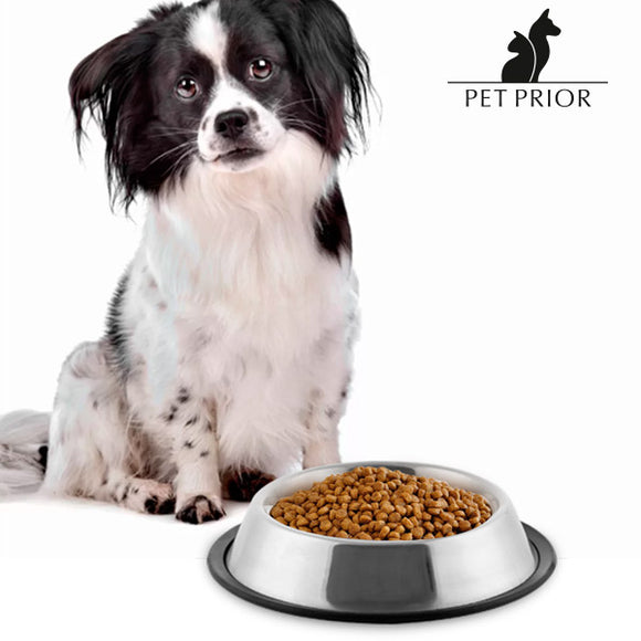 Comedero para Perros Pet Prior