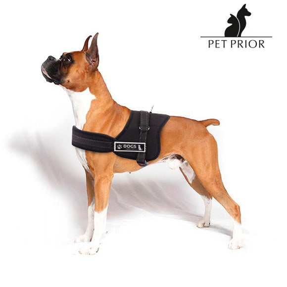 Arnés Ajustable para Perros Pet Prior